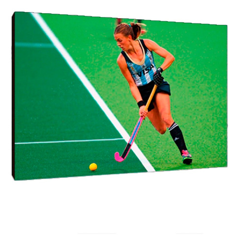 Cuadros Poster Deporte Hockey Leonas Xl 33x48 (crh (4))