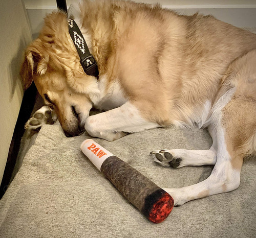 Juguetes Divertidos Para Perros - Juguetes Chirriantes De