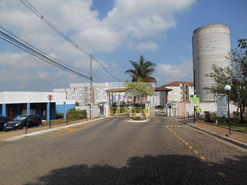 Imagem 1 de 16 de Apartamento Com 2 Dormitórios À Venda, 49 M² - Jardim Santa Maria (nova Veneza) - Sumaré/sp - Ap1145