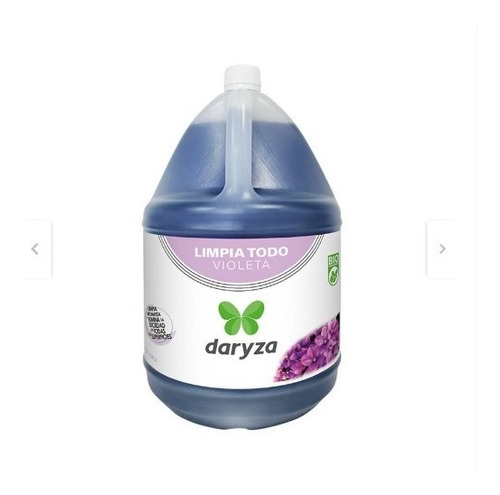 Productos De Limpieza Daryza - Limpiatodo Violeta - Floral