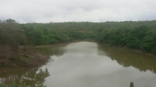 Imagen 14 de 14 de Finca En Venta En San Jose De Guaribe