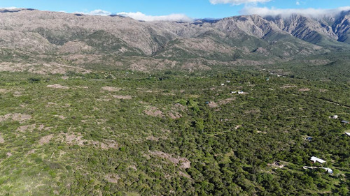 Campo En Venta En Nono, Los Algarrobos