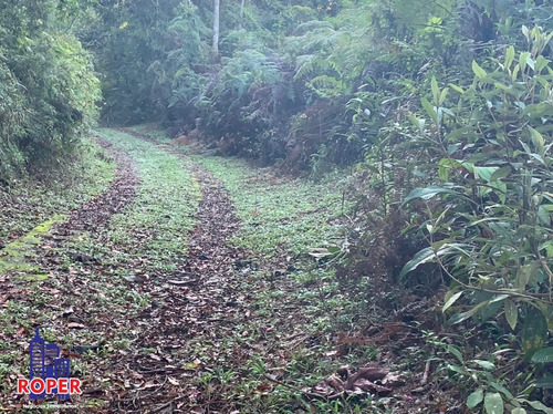 Imagem 9 de 23 de Chácara Com 35.000 M² Com 3 Casas/ Lago E Nascente À Venda Em Embu Guaçu/ São Lourenço Da Serra - Ch01031 - 34651874