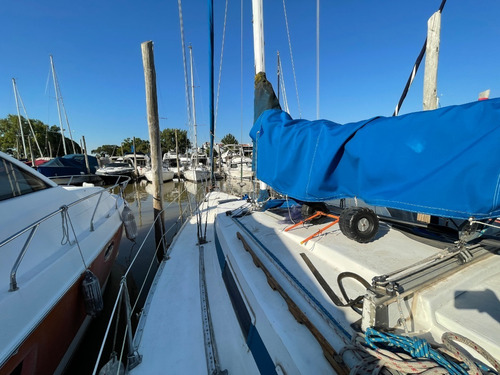 Imagen 10 de 19 de Velero Peterson 34 Nanni 36 Hp Diesel
