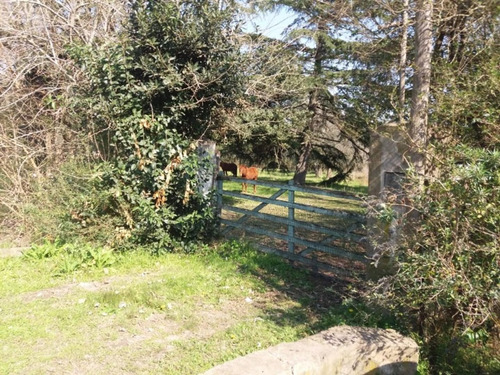 Imagen 4 de 5 de Ruta 8 Km 94.5 - Paraje El Candil - San Andres De Giles