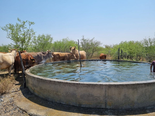 Venta De Rancho En Terán