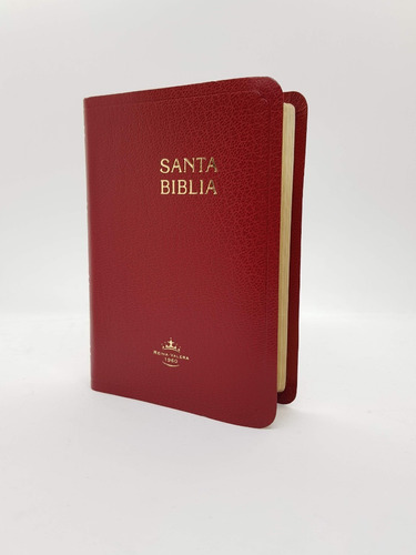 Biblia Bordó Canto Dorado Reina Valera 1960 10 X 14 Cm