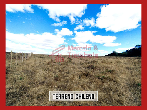 Vendo Terreno 1.6 Hectareas, Comuna De Nueva Imperial. Codig