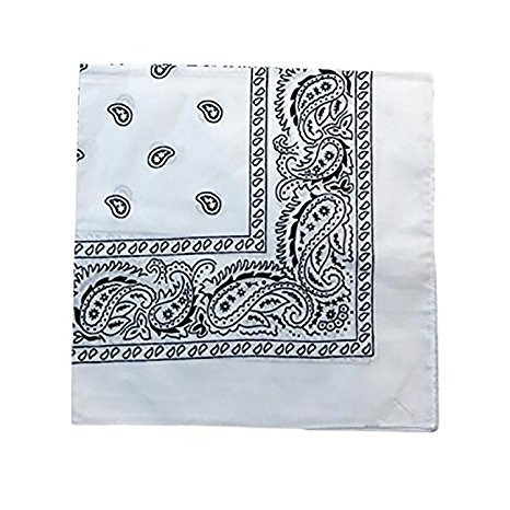 Daily Básico 100% Algodón X Grande Paisley Impresa A Doble C