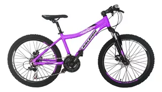 Mountain bike infantil Raleigh MTB Scout 2023 R24 21v frenos v-brakes cambios Shimano color rosa/gris