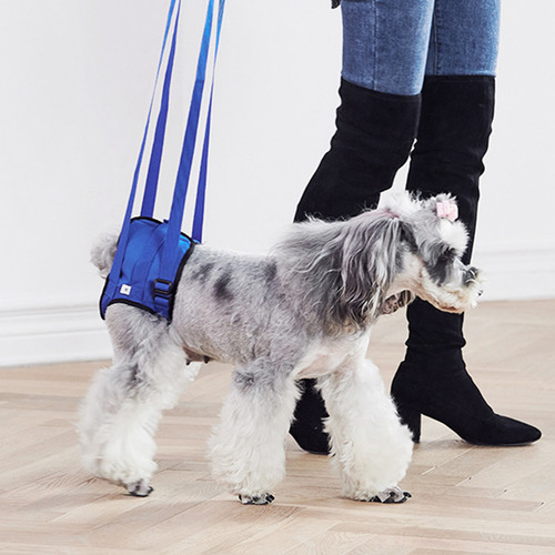 Pechera Arnés De Seguridad Cómodo Ajustable Para Mascota