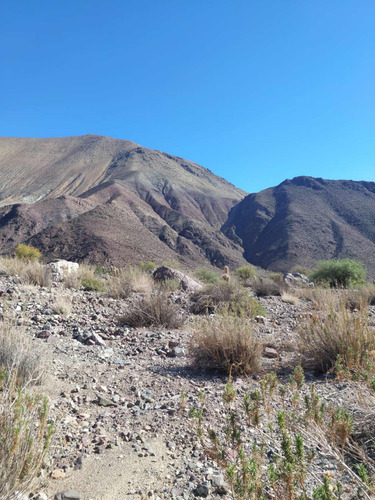Venta Sitio En Vicuña Valle De Elqui