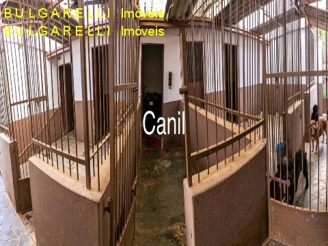 Imagem 3 de 30 de Chacara - Ch00149 - 70783275