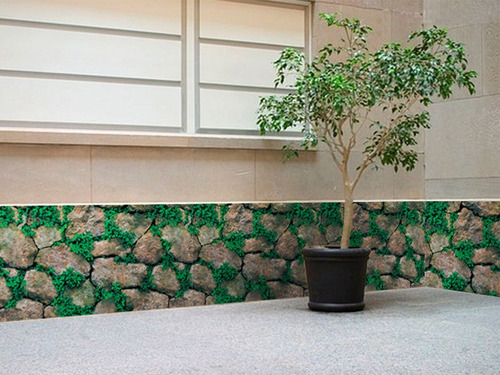 Imagen 3 de 6 de Papel Tapiz Piedras Rocas Con Plantas Adhesivo Pared