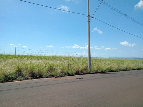 Imagem 4 de 10 de Terreno - Te00241 - 69321133