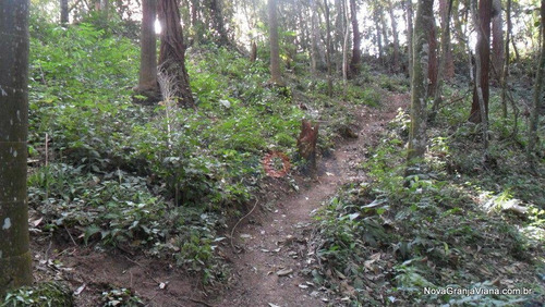 Imagem 1 de 5 de Terreno Comercial À Venda, Nova Higienópolis, Jandira - Te0175. - Te0175