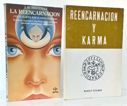 2 Libros Sobre Reencarnación Y Karma Brennan - Steiner / Pap