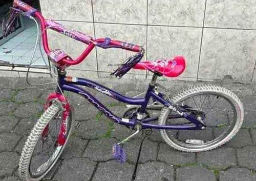 Bicicleta Magna De Niña987006330