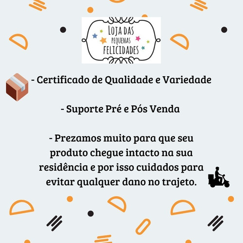 Imagem 6 de 7 de Cortador Manual De Queijo Fatiador Inox Bronze