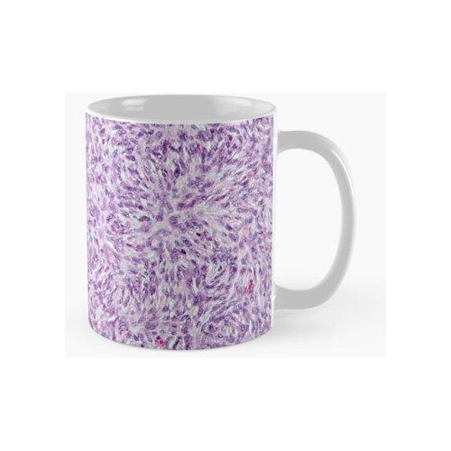 Taza Histología De Fibroblastos Calidad Premium