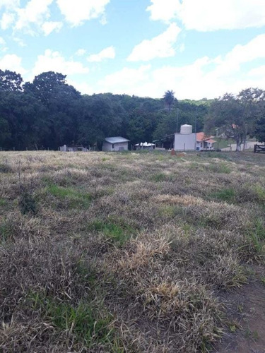 Imagem 22 de 27 de Sitio Campinas Antes Do Pedagio De Jaquariuna 46 Hectares - 42655