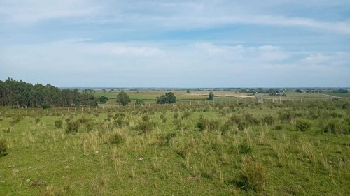 12 Hás. Agrícolas En Puntas De Solis A 250 Mts. Ruta 8