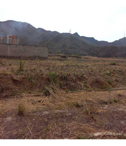 Imagen 9 de 11 de Terreno Unifamiliar En Venta Jardin Mañongo