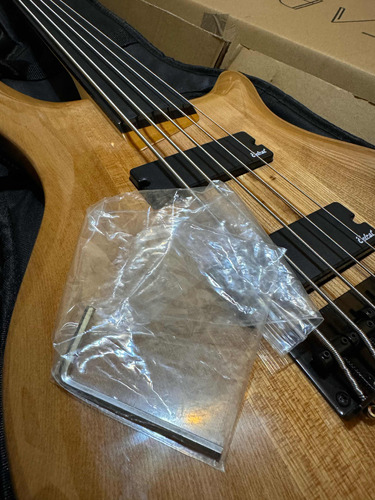 Bajo Eléctrico 5 Cuerdas Fretless