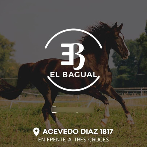 Imagen 2 de 2 de Estribo Polero Para Caballo.