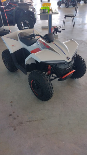 Quadriciclo Cforce Ev110 Eletrico