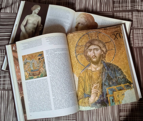 Biblioteca Del Arte / Salvat (Usado)