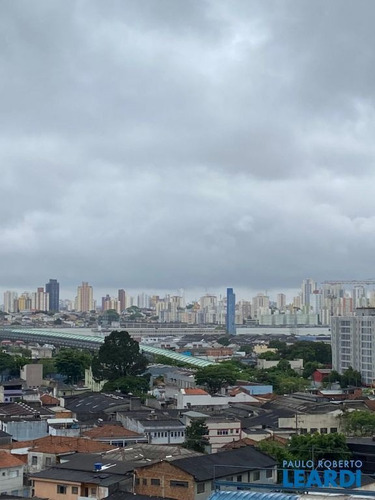 Imagem 4 de 15 de Apartamento - Ipiranga - Sp - 646705