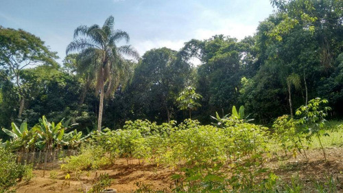 Imagem 17 de 23 de Chácara Residencial À Venda, Penhinha, Arujá - Ch0041. - Ch0042