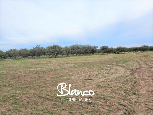 Campo En Venta En Unanue, Utracan, La Pampa