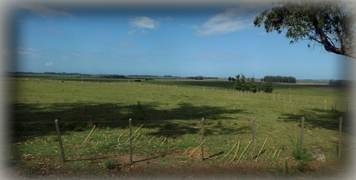 Campo De 35 Hectáreas (con Casa)