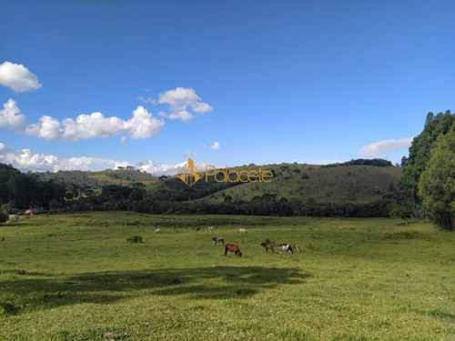 Imagem 2 de 15 de Rural Chacara - 886221-v