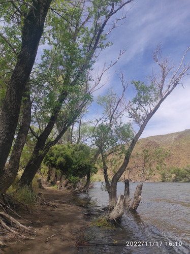 Río Alumine 7 Ha Patagonia Electricidad Wifi Agua Ultimas