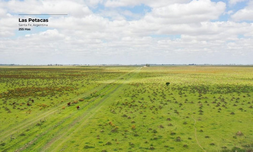 Campo De 255 Hectáreas En Las Petacas, Santa Fe