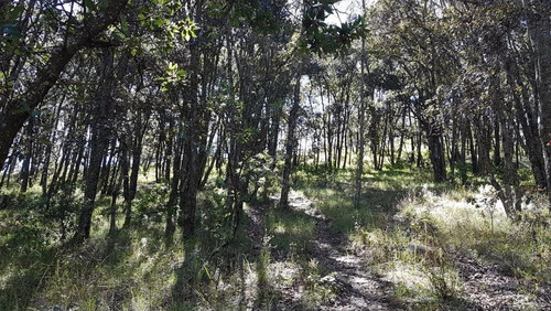Terreno Para Rancho Amealco, Queretaro Sup. 68,889 Mts