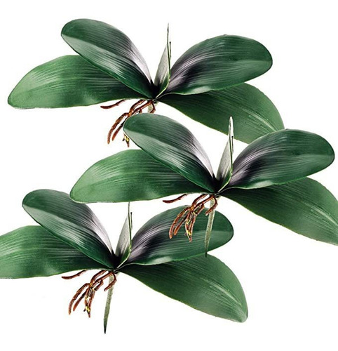 Miracliy Phalaenopsis Orquídea Hojas Real Látex Touch Plant