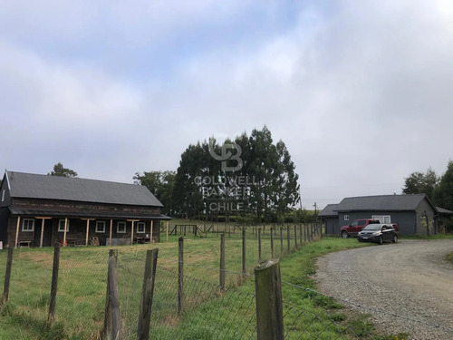 Espectacular Terreno De 3,9 Hectáreas En Puerto Varas