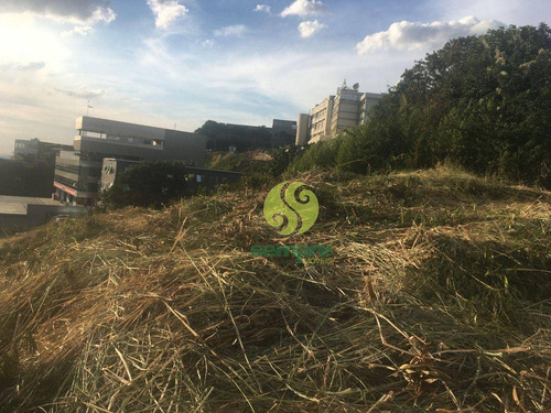 Imagem 4 de 15 de Terreno Para Alugar, 1200 M² Por R$ 2.000,00/mês - Estoril - Belo Horizonte/mg - Te0041