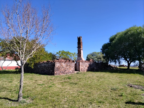 Campo De 397 Has - Maldonado, Aiguá