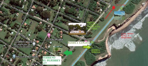 Imagen 2 de 9 de Terreno En Mar Del Plata Frente Al Mar Barrio Playa Los Lobos 450 M2 Dueño Directo Sin Comisión Ni Gastos Escritura Inmediata Calle 3 (el Pejerrey) Y Avda Costanera Buenos Arboles Y Buenas Mejoras