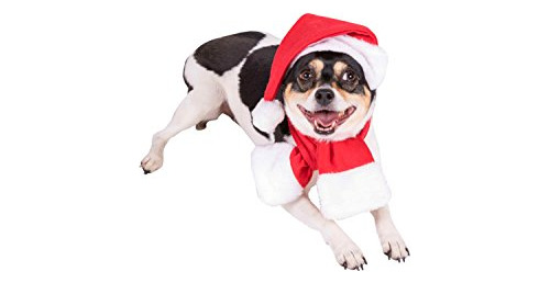 Conjunto Navideño Perro Gorro Y Bufanda De Papá Noel ...