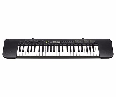 Teclado/organo Casio Ctk240 4 Octavas