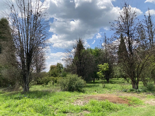 Imagen 3 de 26 de Terreno En Venta Para Inversionistas En La Localidad De Jofrito En Querètaro.