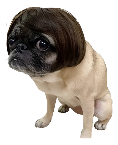 Peluca Flequillo Lapuggi Para Mascotas Perros