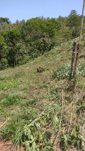 Imagem 2 de 14 de Lotes Á Venda Com Vista Pra Natureza 77a