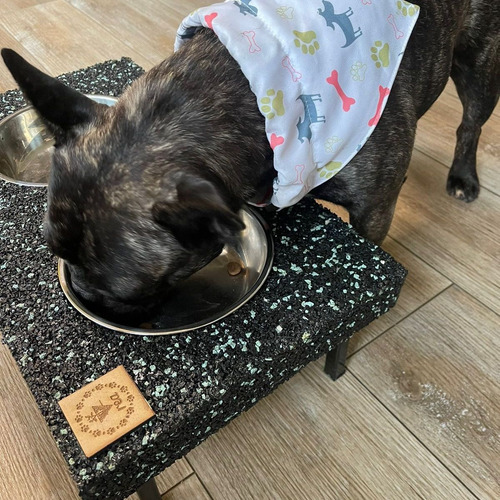 Comedero Pets De Caucho Reciclado Para Razas Pequeñas